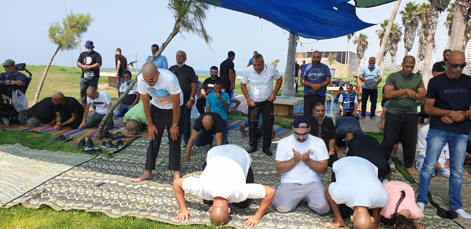 WhatsApp Image 2020-09-11 at 1.17.46 PM (2).jpeg.jpeg